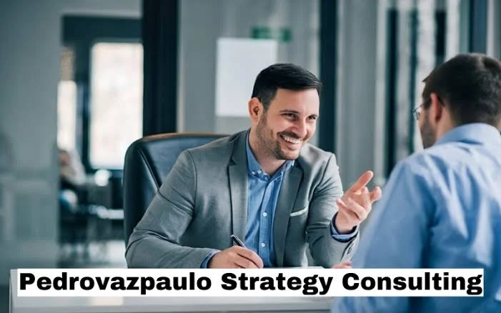 pedrovazpaulo business consultant